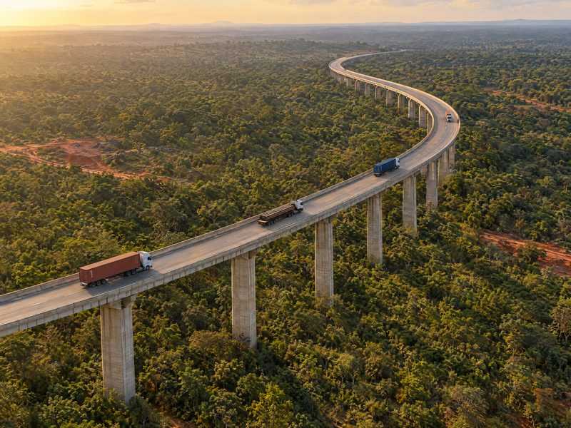Container trucks on an elevated highway curving through green bush in late light